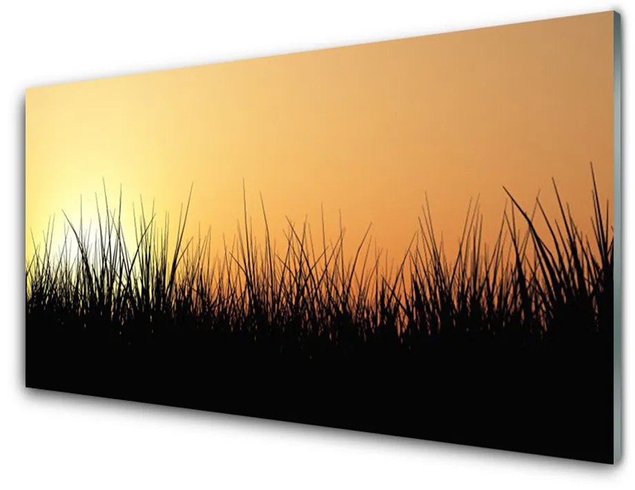 Obraz na akrylátovom skle Burina príroda rastlina 100x50 cm