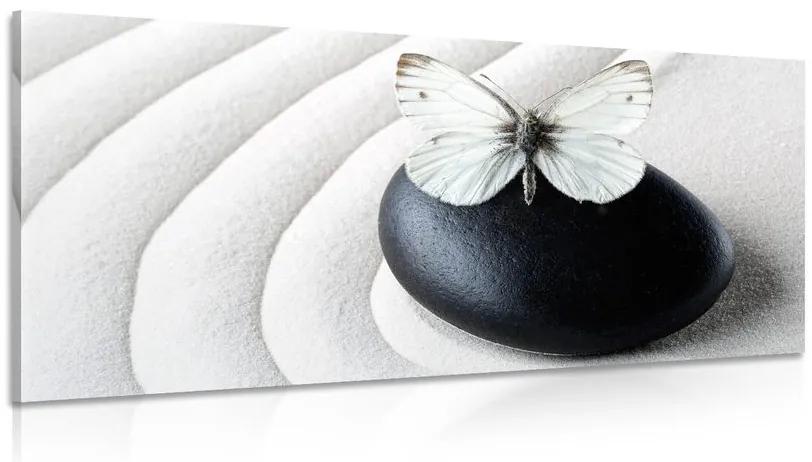 Obraz Zen kameň s motýľom Varianta: 100x50
