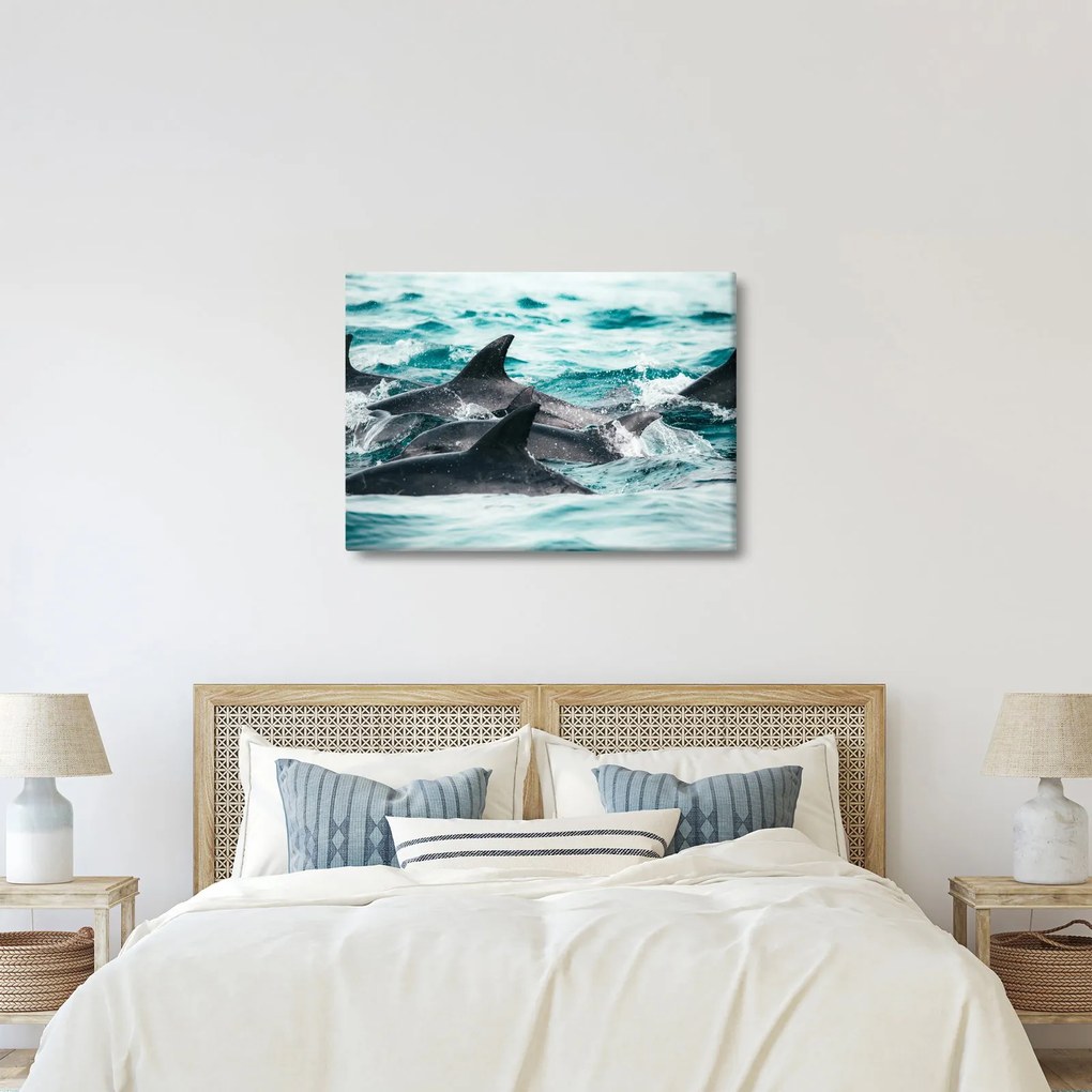 Obraz - Delfíny v oceáne (70x50 cm)