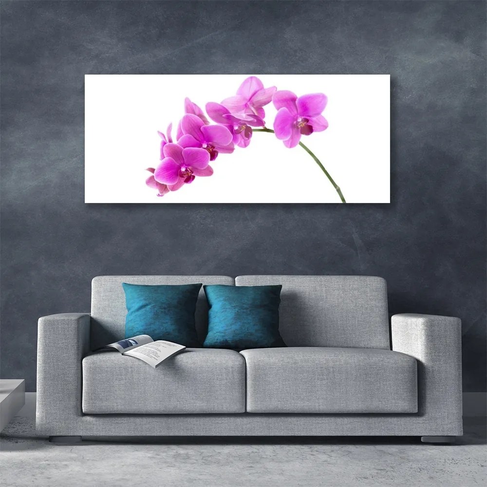 Obraz plexi Vstavač kvet orchidea 125x50 cm