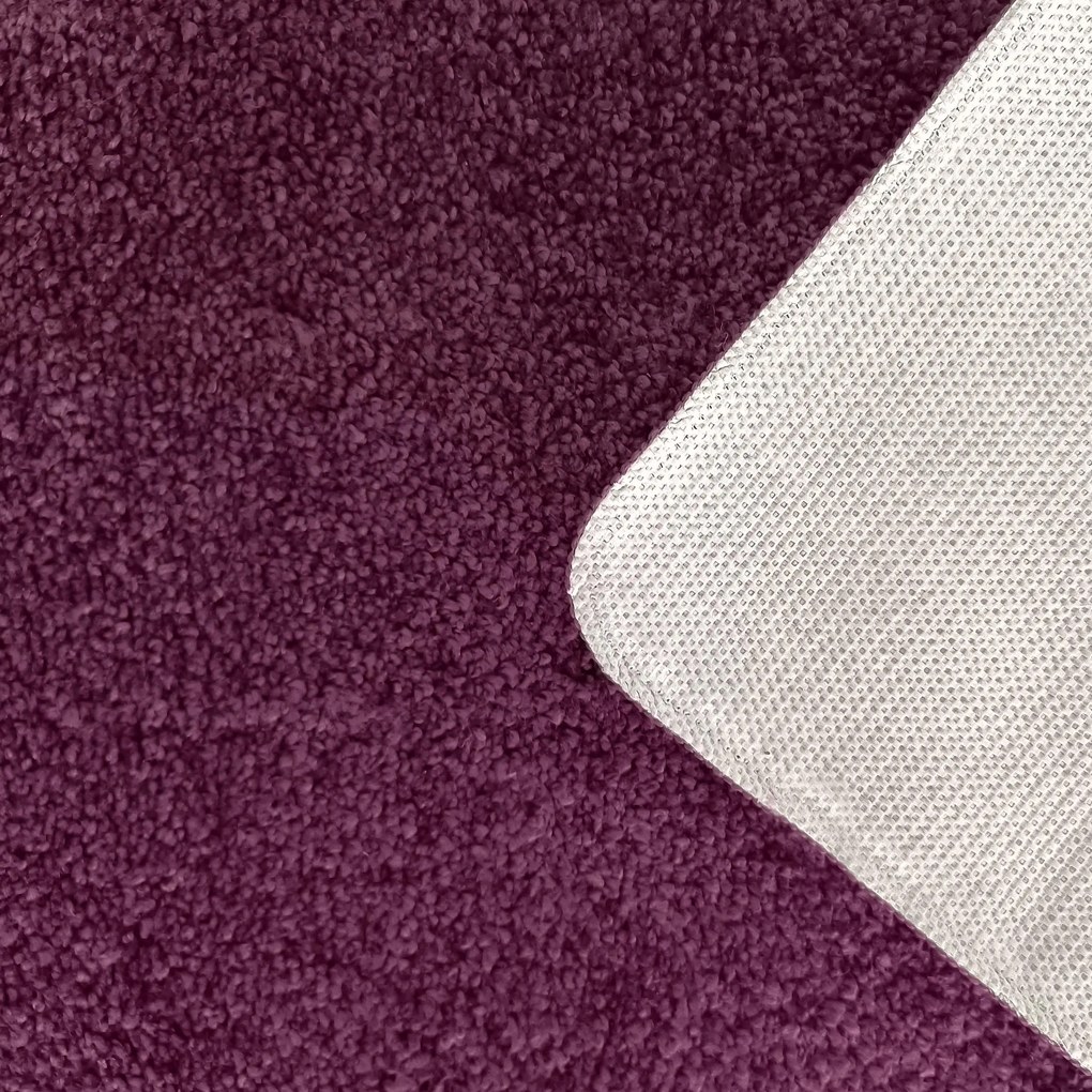 DY Obdĺžnikový fialový shaggy koberec Kamel Rozmer: 150x200 cm