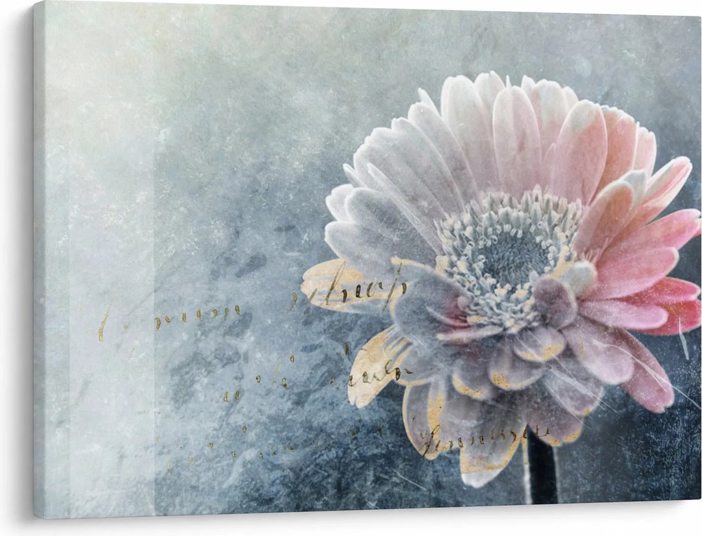 Obraz - Zimný kvet (70x50 cm)