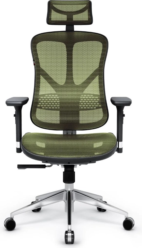 Diablo Chairs - Ergonomické kreslo Diablo V-Basic: čierno-zelená
