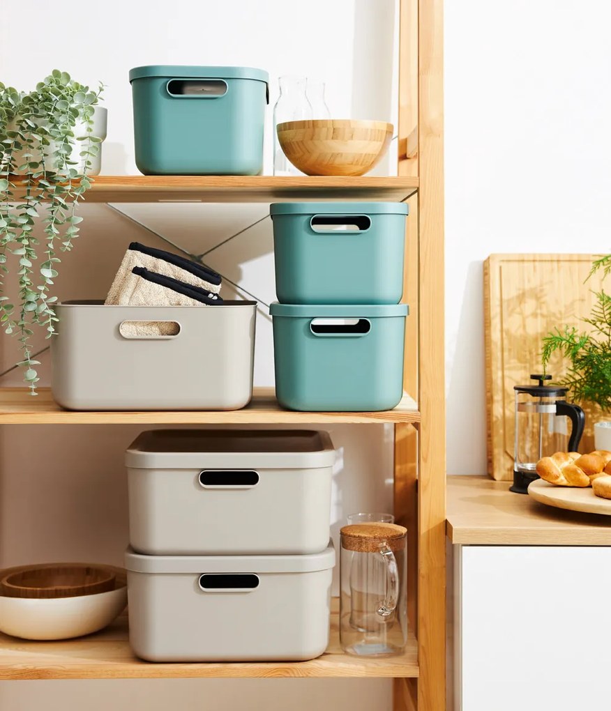 Rotho Úložný box, rovný s vekom, 12 l, matne zelený ALBU LIGHT, 40x24x18