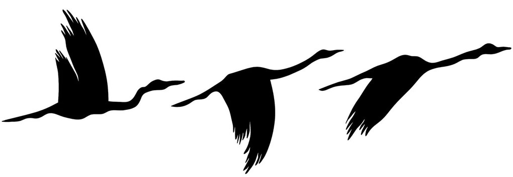 Nástěnná kovová dekorace Migrant Birds černá