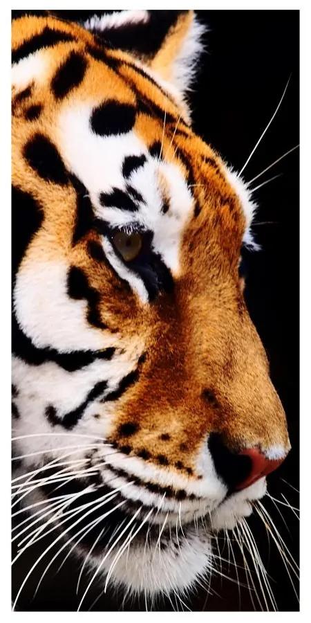 Moderný deliaci Tigria krása