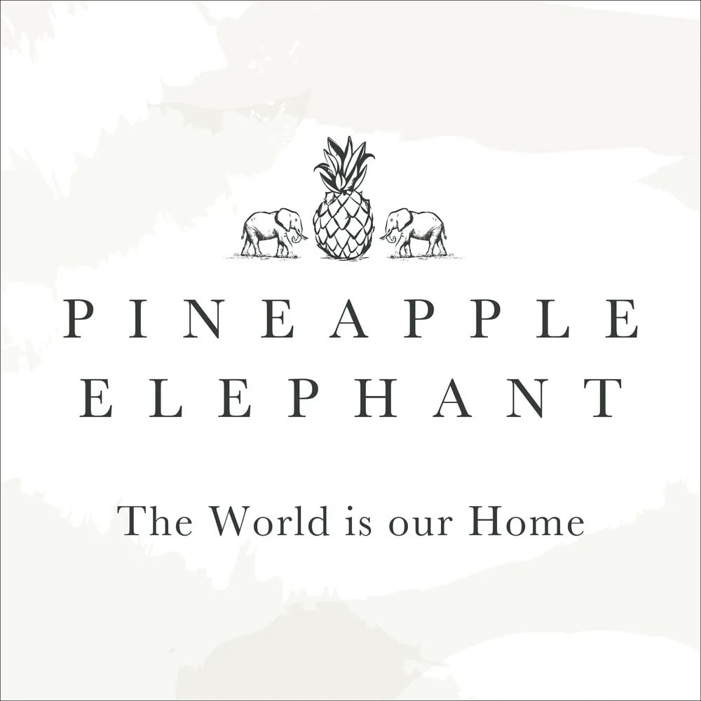 Záclona v terakotovej farbe 140x183 cm Zanzibar Stripe – Pineapple Elephant