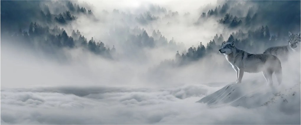 Obraz vlkov (120x50 cm)