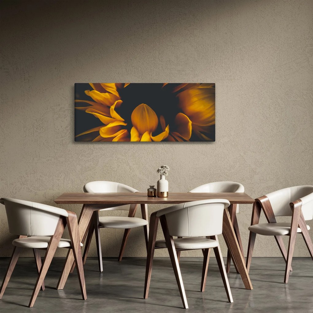 Obraz - Slnečnica v čiernom pozadí (120x50 cm)