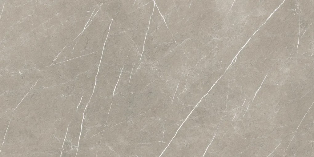 Dlažba Eternal Taupe Natural 80x160 R