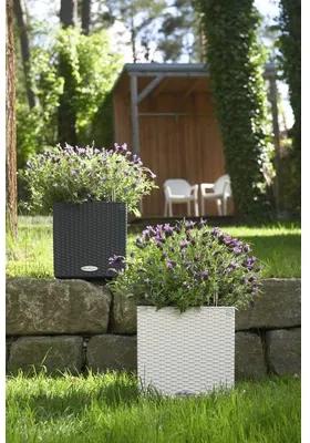 Samozavlažovací kvetináč Lechuza Cube 30x30x30 cm kompletný set sivý