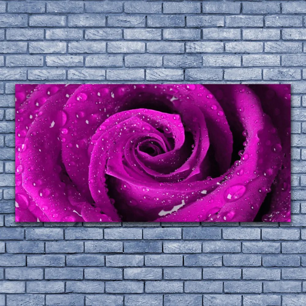 Obraz na plátne Ruže kvet rastlina 140x70 cm