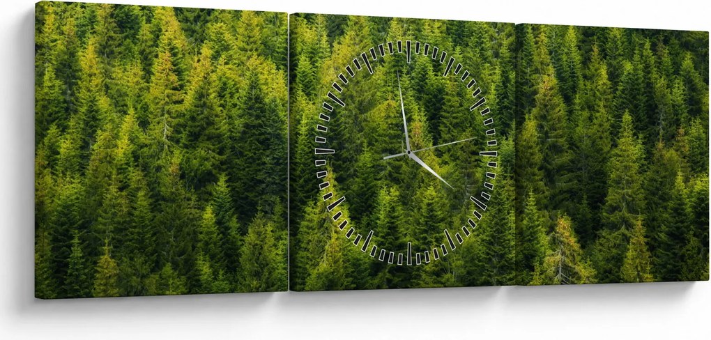 Obraz - Hustý les (s hodinami) (90x30 cm)