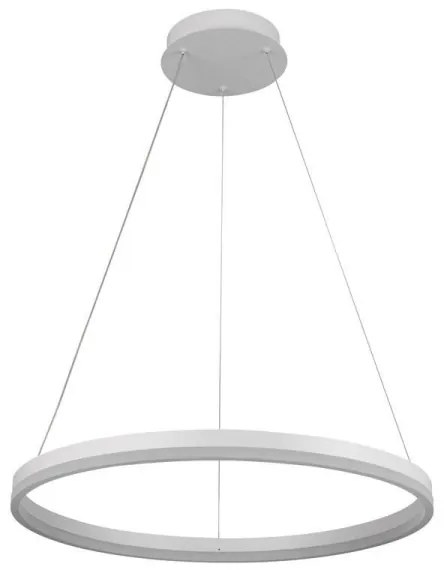Brilagi - LED Stmievateľný luster na lanku CIRCLE LED/42W/230V 3000-6500K + DO