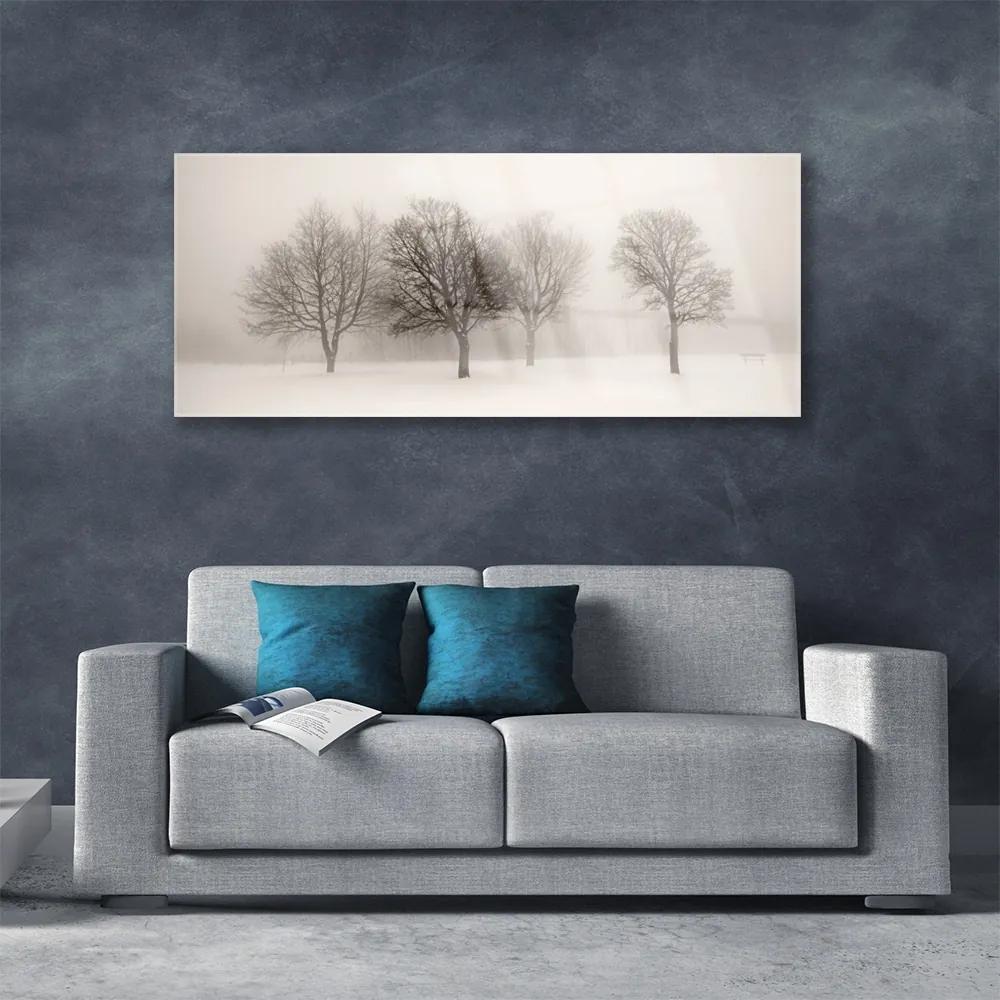 Obraz plexi Sneh stromy príroda 125x50 cm