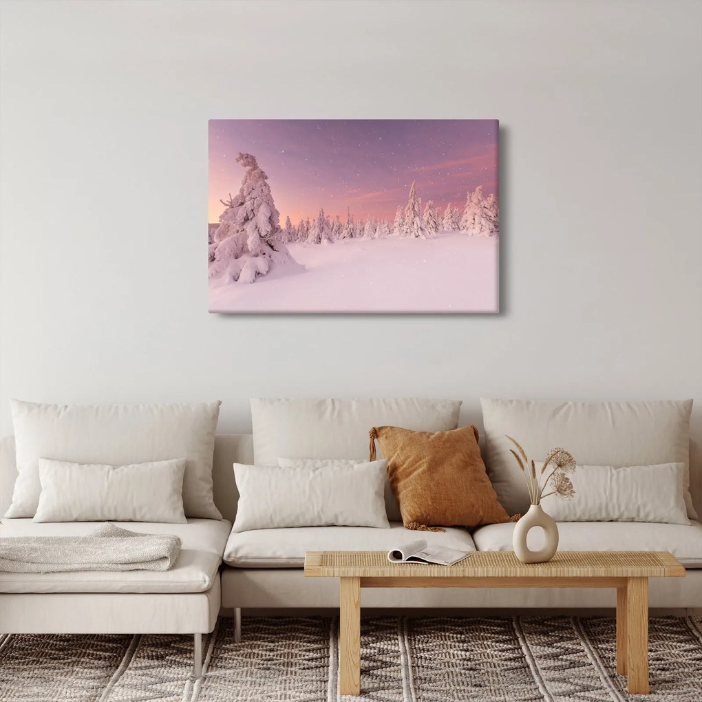 Obraz - Stromy pod snehovou prikrývkou (90x60 cm)