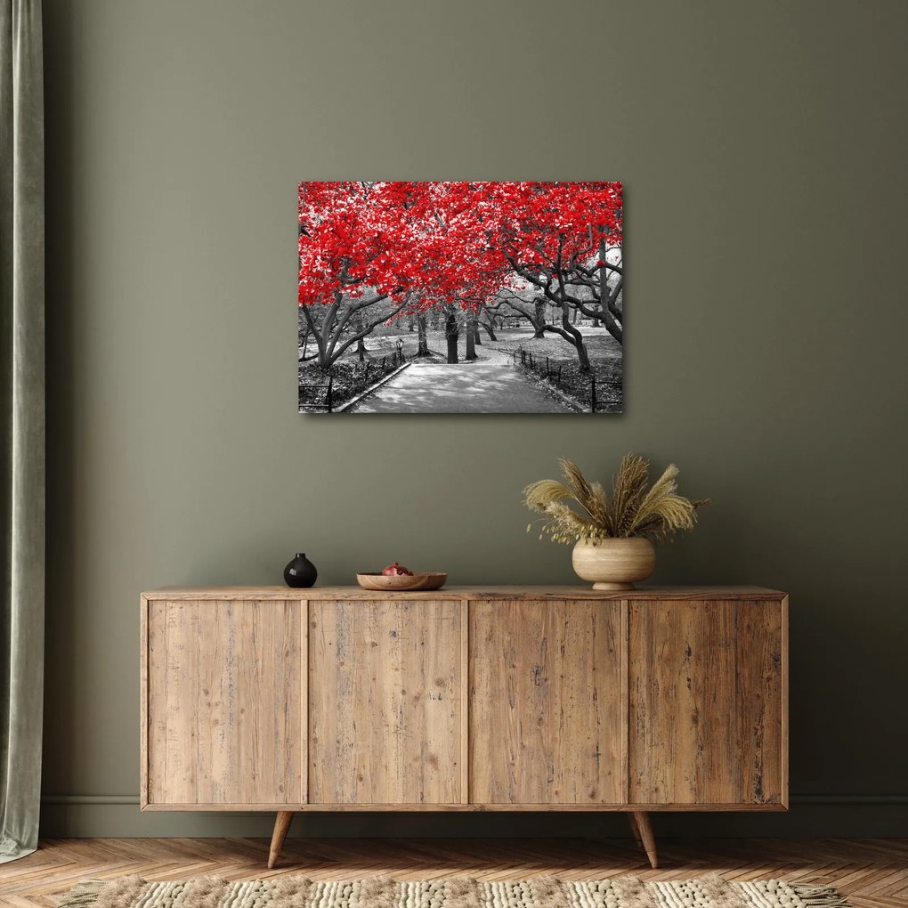 Obraz - Červené stromy, Central Park, New York (70x50 cm)