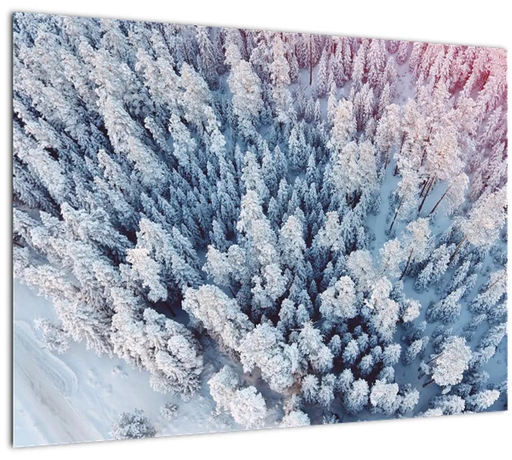 Sklenený obraz zasnežených stromov (70x50 cm)