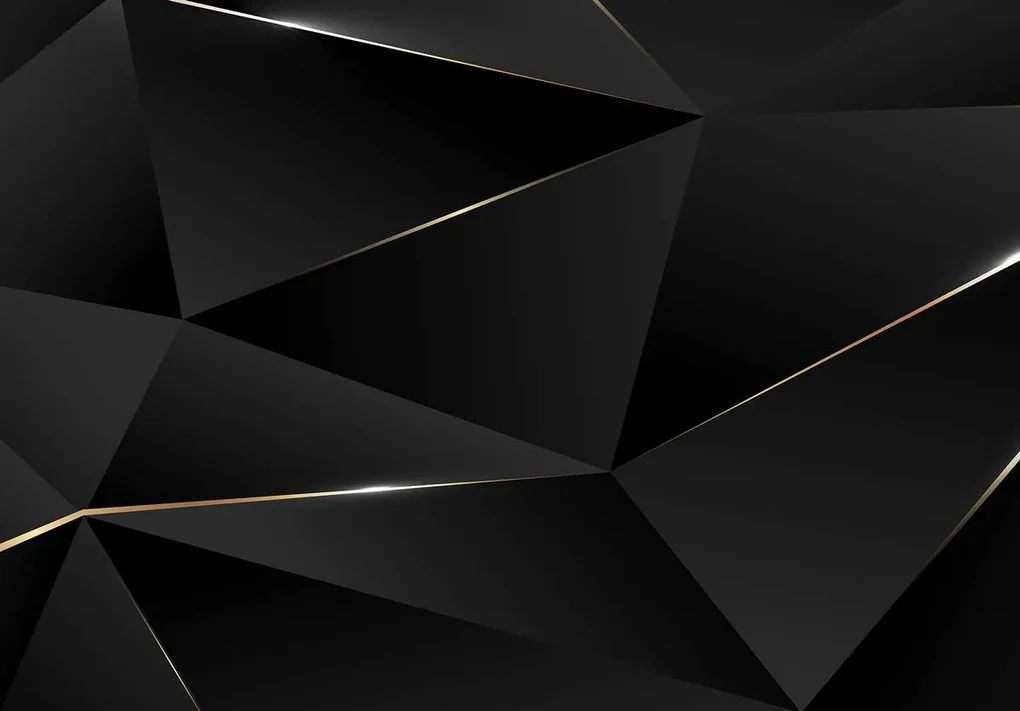 Fototapeta - Čierne geometrické delenie (254x184 cm)