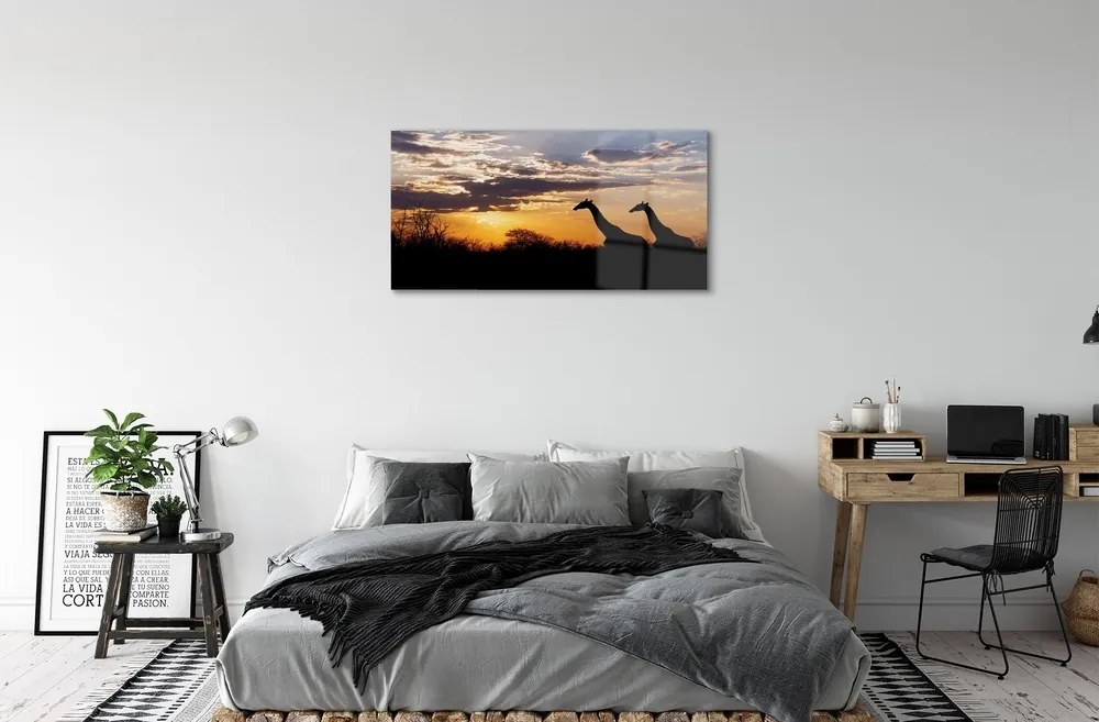 Obraz na skle Žirafy strom mraky 140x70 cm