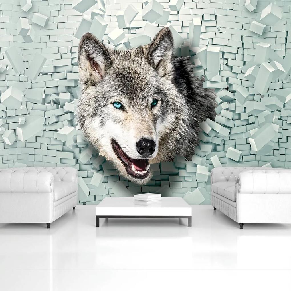 Fototapeta - Vlk vychádza z 3D steny (152,5x104 cm)