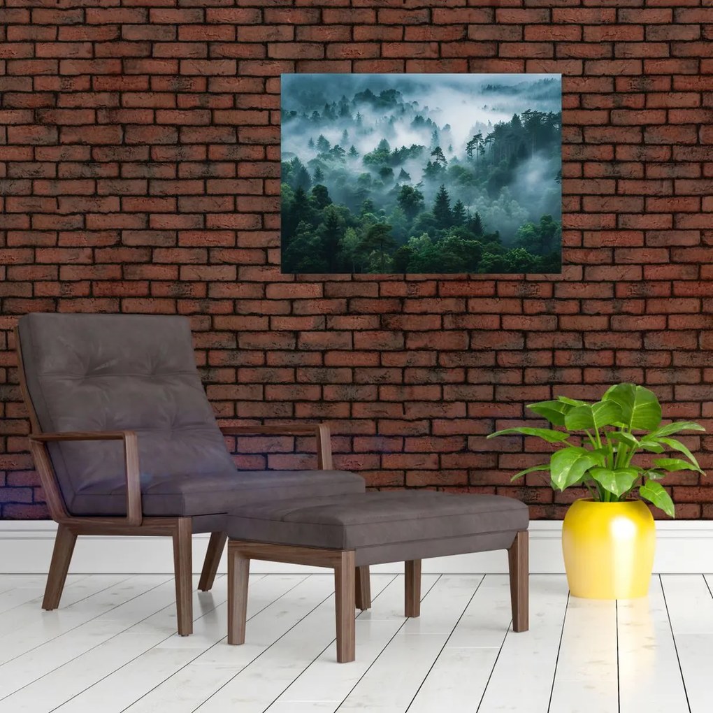 Sklenený obraz - Les v hmle (70x50 cm)