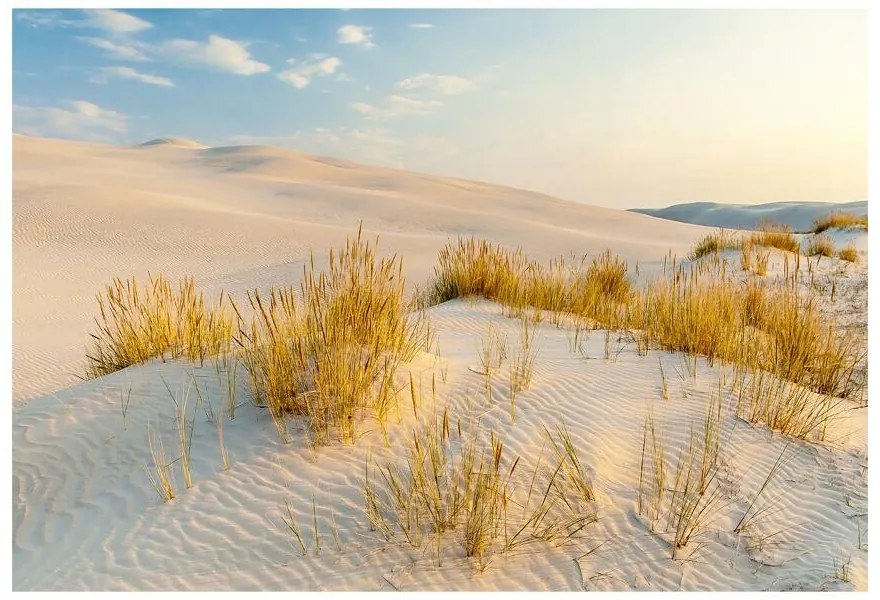 Fototapeta Vliesová Bunesk dunes 312x219 cm