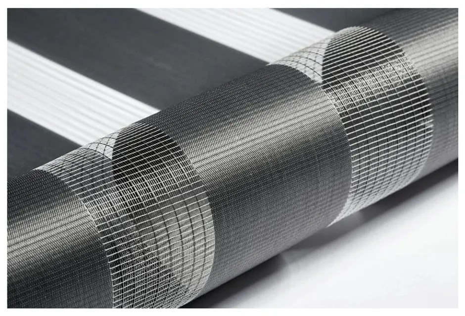 Tmavosivá roleta deň a noc 42,5x150 cm Zebra – Gardinia