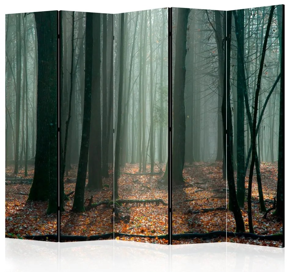 Artgeist Paraván - Witches' forest [Room Dividers]