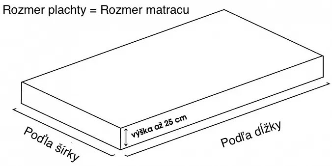 Posteľná plachta froté svetlomodrá TiaHome - 200x220cm