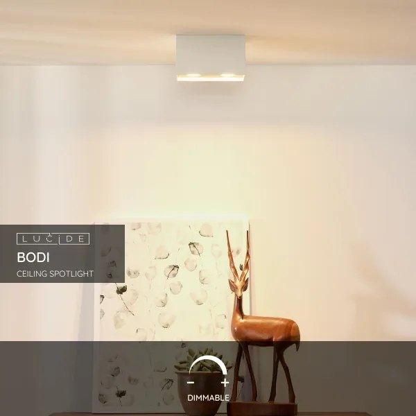 Lucide 09101/02/31 - Bodové svietidlo BODI 2xGU10/50W/230V