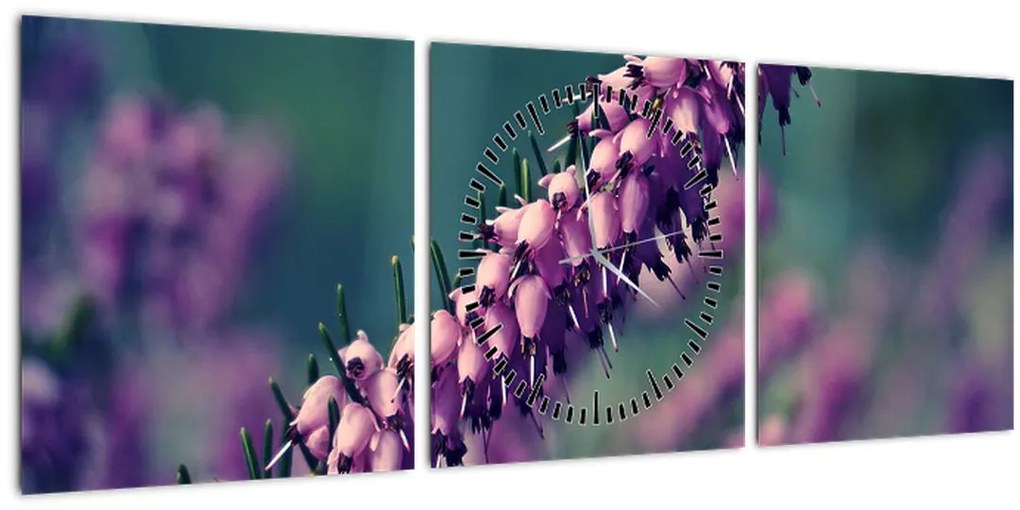 Obraz fialovej kvetiny (s hodinami) (90x30 cm)