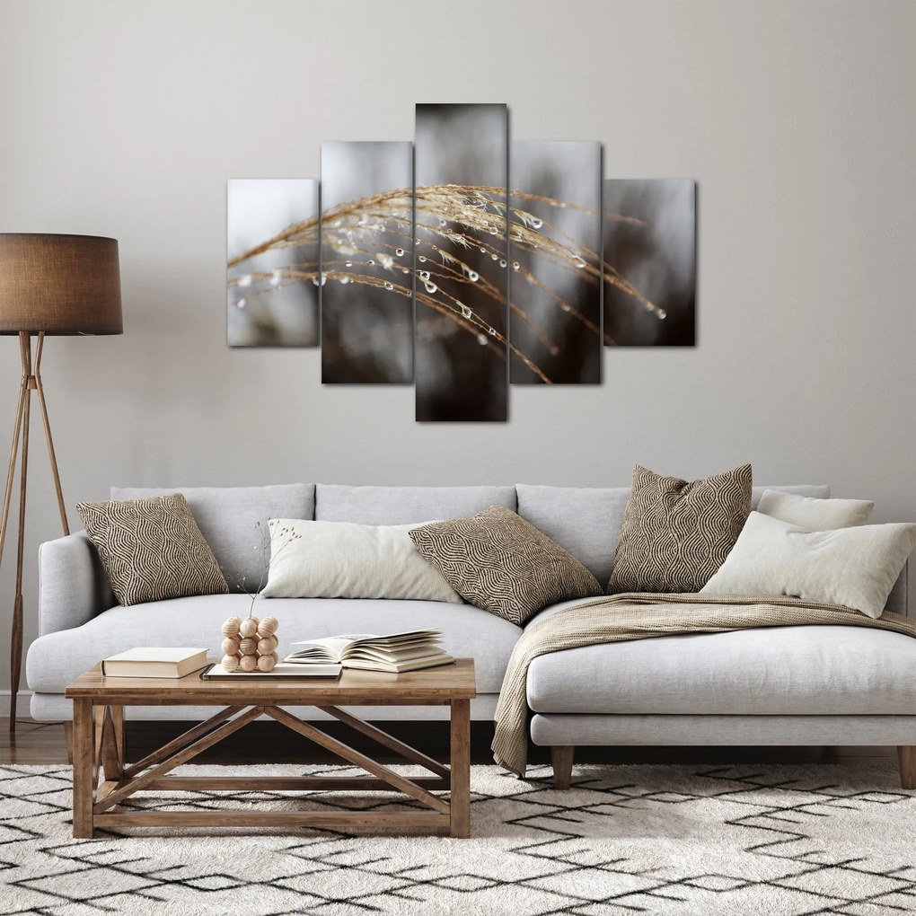 Obraz kvapiek na rastline (150x105 cm)