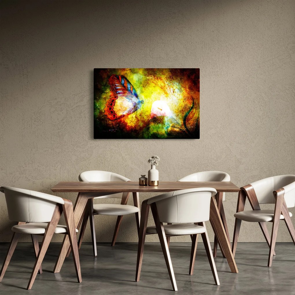 Obraz - Kozmický motýľ (90x60 cm)