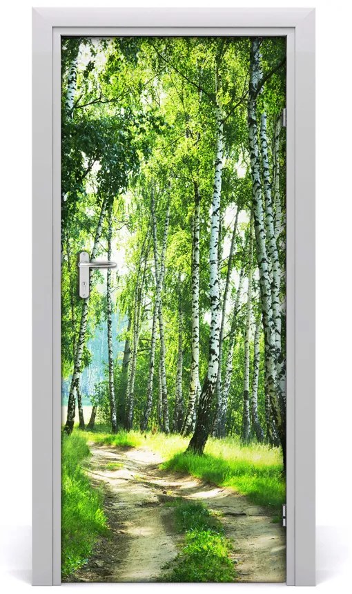 Fototapeta na dvere Břízová les 75x205 cm