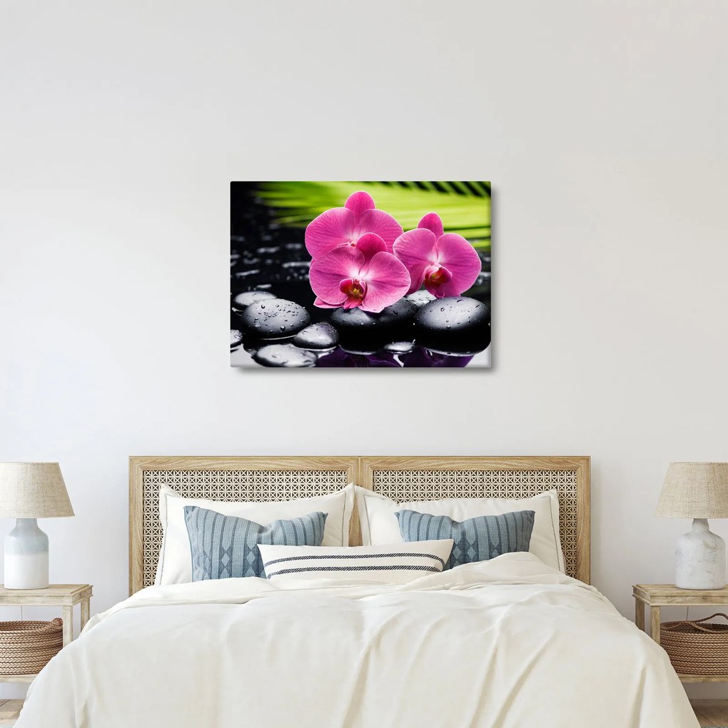 Obraz - Ružové orchidey s palmovým listom (70x50 cm)