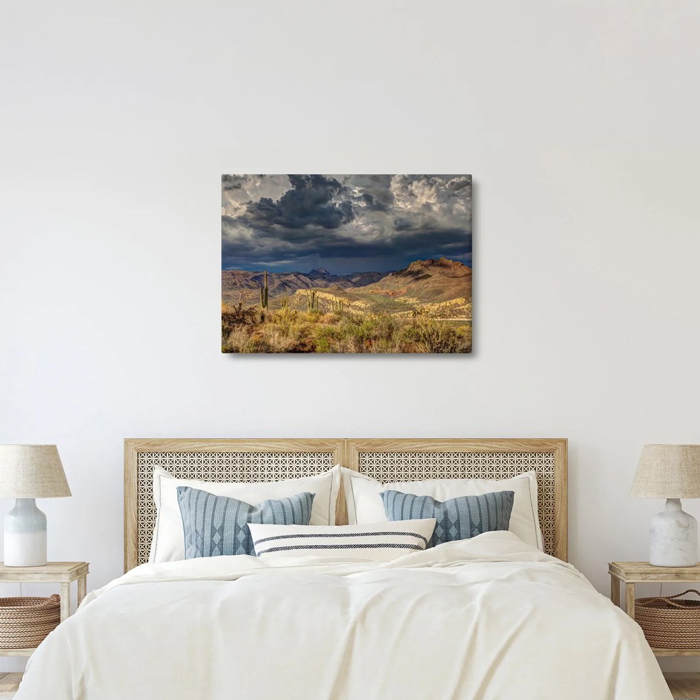 Obraz - kaktusy v prírode (70x50 cm)