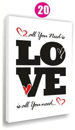 Moderný obraz na plátne 30x40 cm CITÁTY - ALL YOU NEED IS LOVE