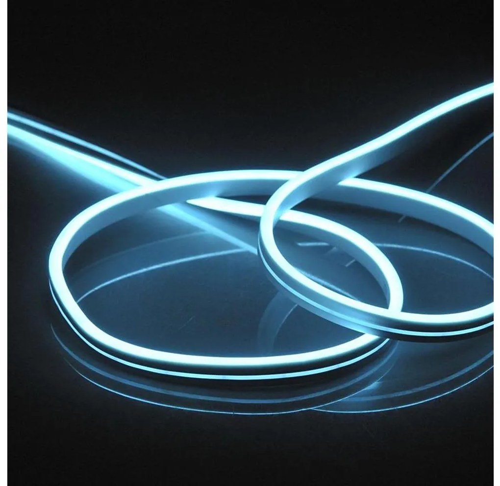 LED Pásik NEON 5 m LED/27W/12V IP65 modrá