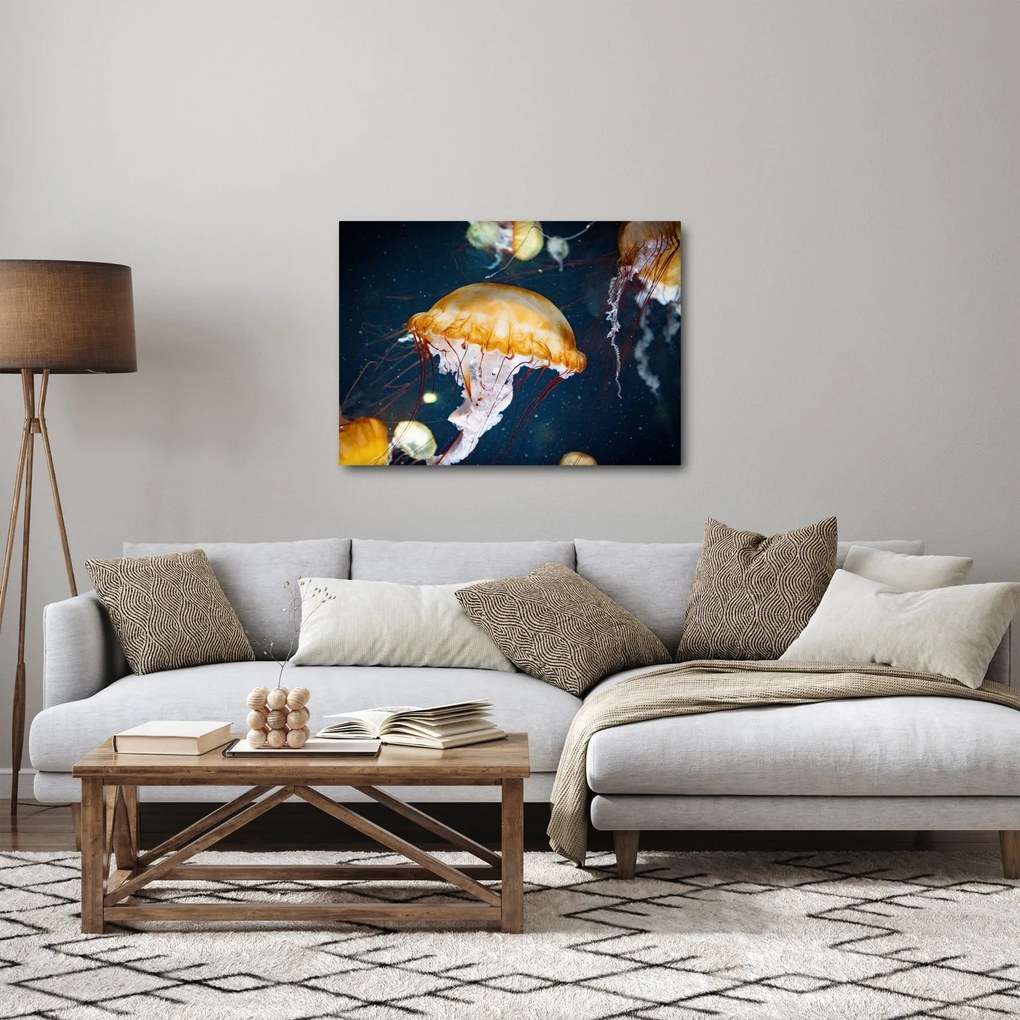 Obraz medúzy (70x50 cm)