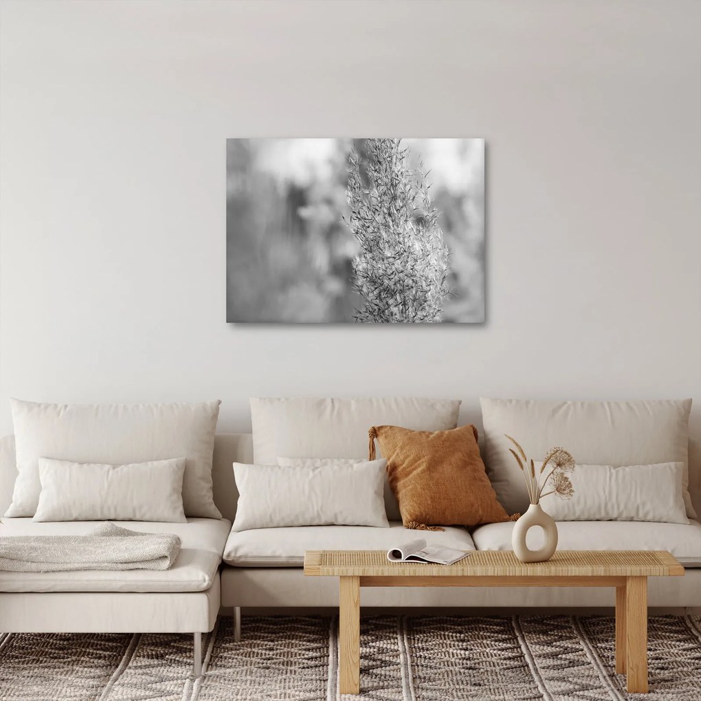 Obraz - Boho pampas grass (70x50 cm)