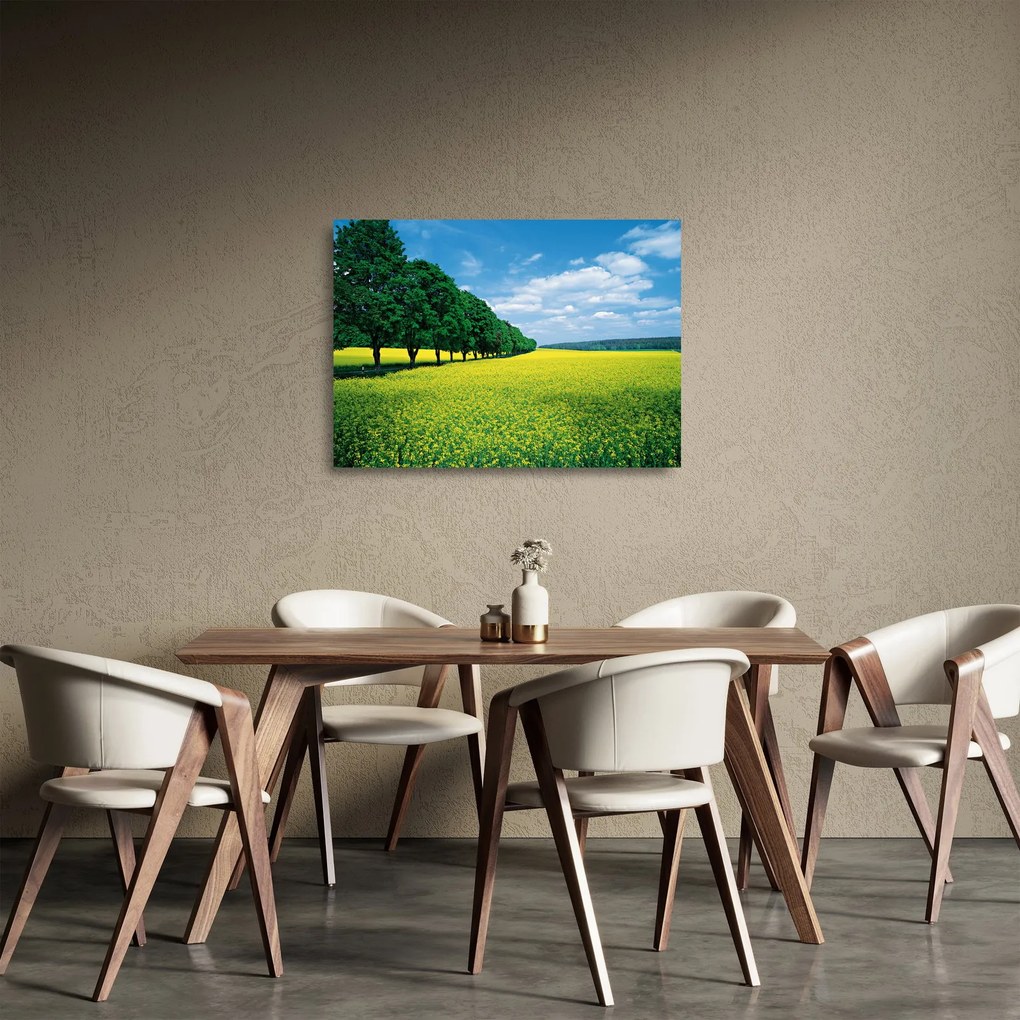 Sklenený obraz poľa s alejou (70x50 cm)