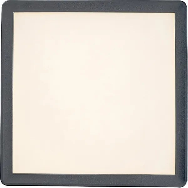 Rabalux 3359 - LED stropné svietidlo do kúpeľne LAMBERT LED/15W/230V IP44