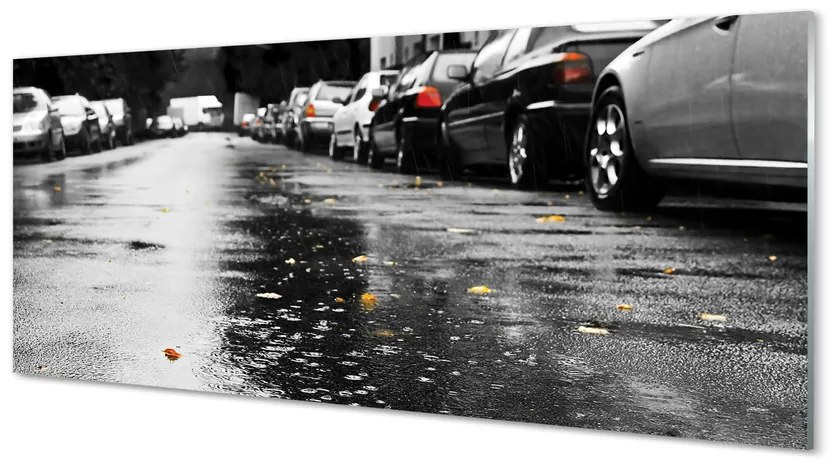 Obraz plexi Car jesenné lístie cesty 120x60 cm