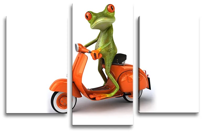 Sablio Obraz - 3-dílný Žaba na motorke - 75x50 cm