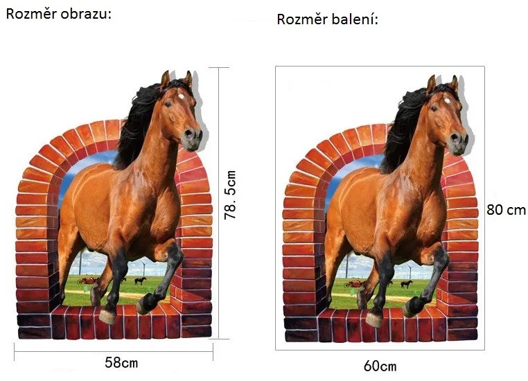 Veselá Stena Samolepka Kôň v okne