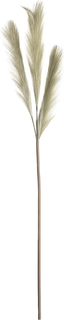 Pampová tráva 110cm green