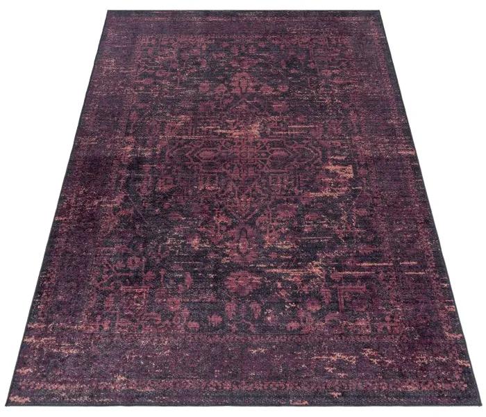 Ayyildiz Kusový koberec FIESTA 4304, Červená Rozmer koberca: 160 x 230 cm