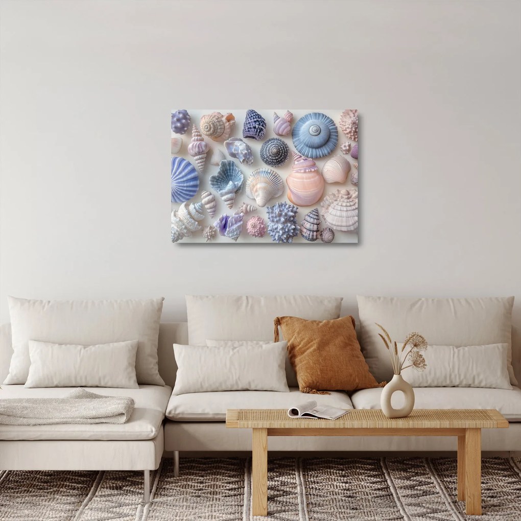 Sklenený obraz - Zbierka mušlí (70x50 cm)