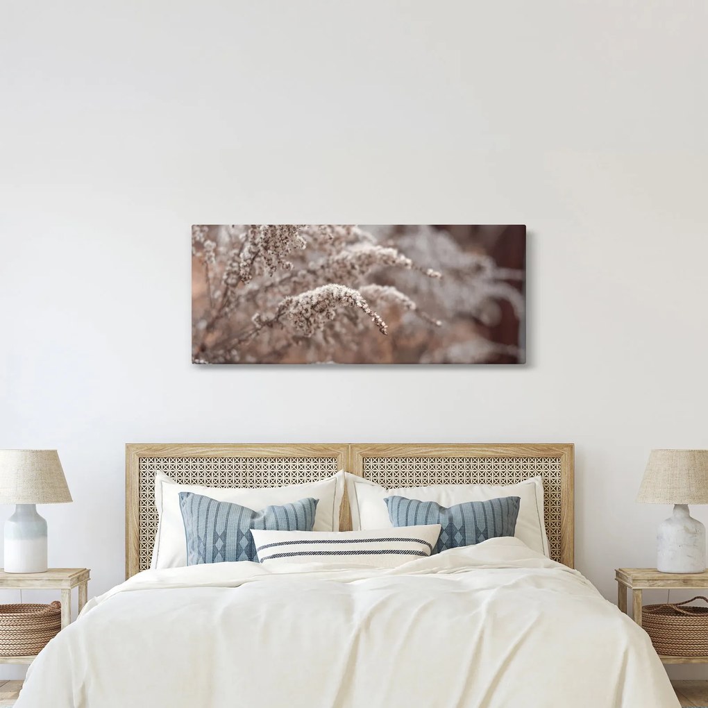 Obraz rastlín (120x50 cm)